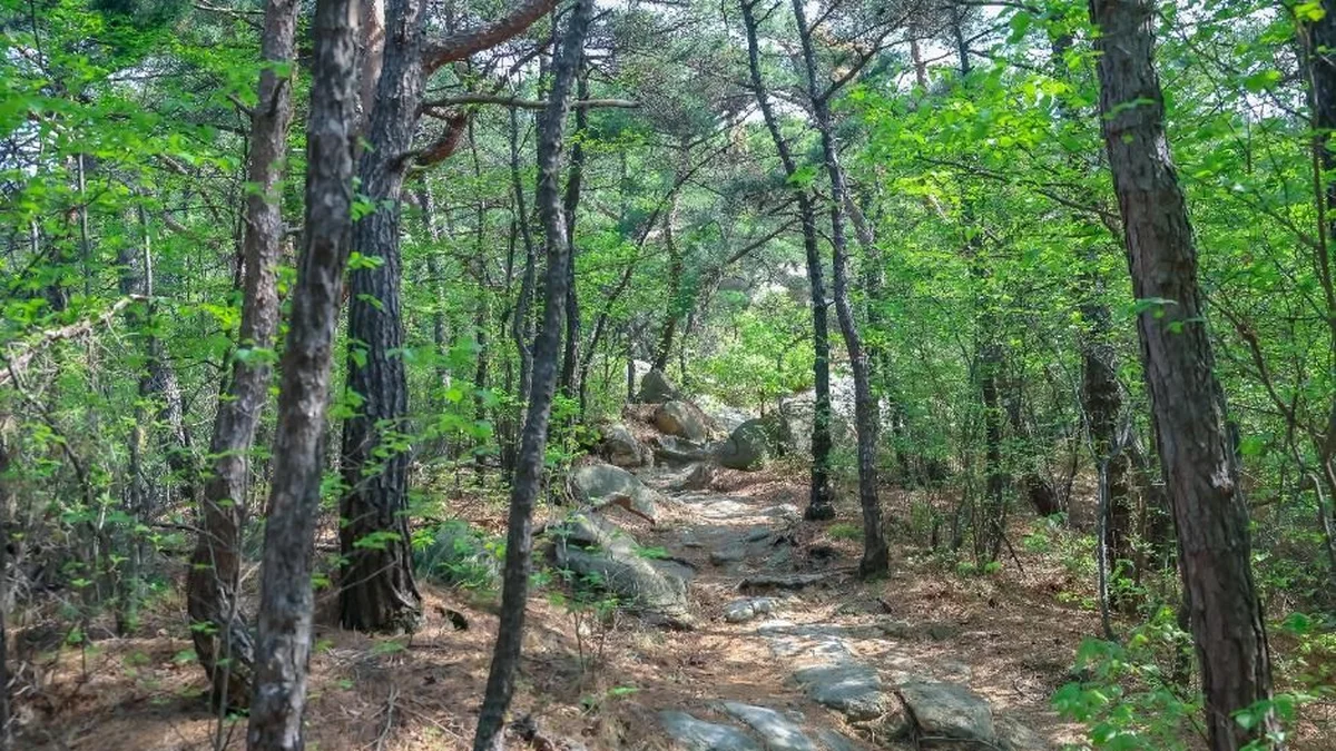 [서울둘레길 12코스] 호암산코스