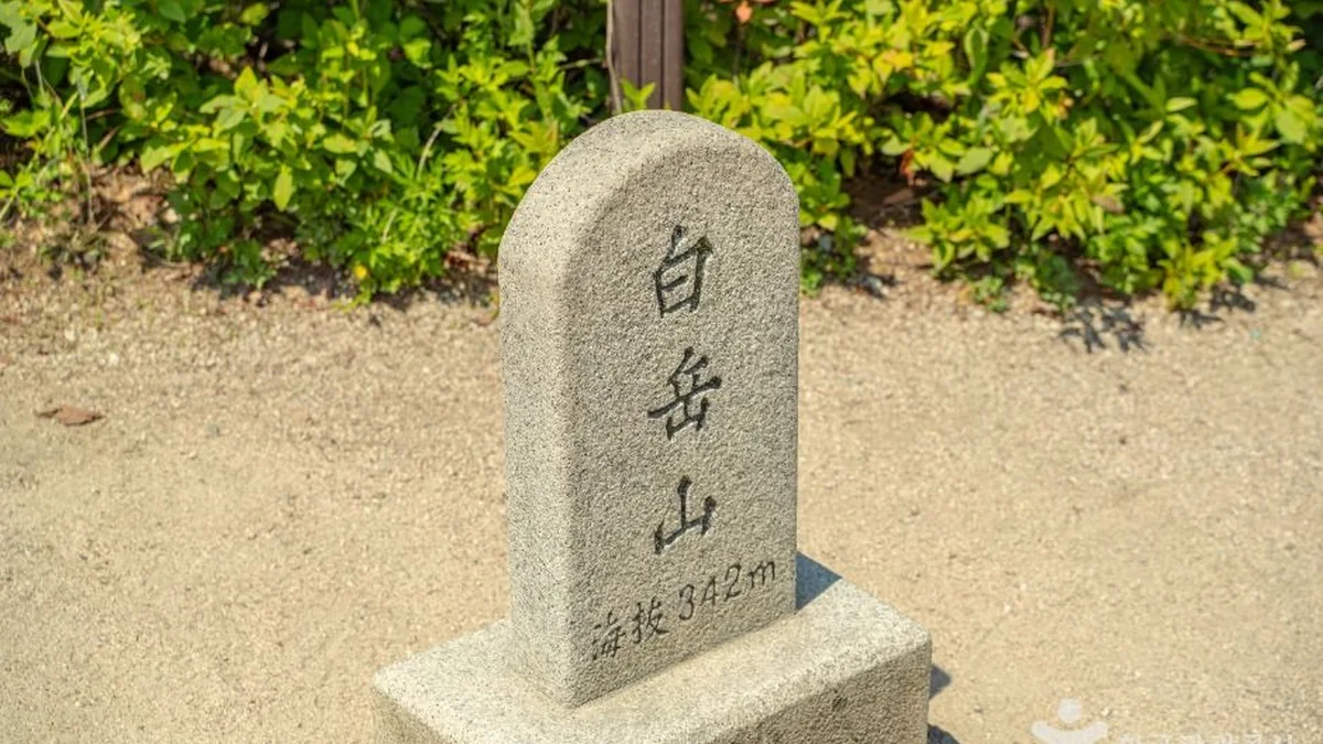 백악마루