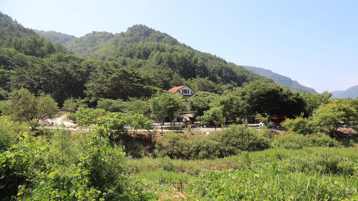뜨란솔 캠핑장