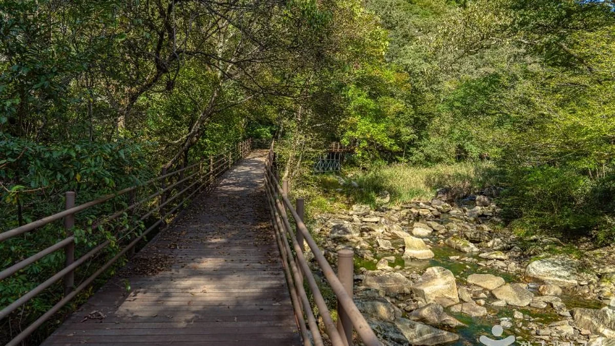 덕산계곡(덕산용소)