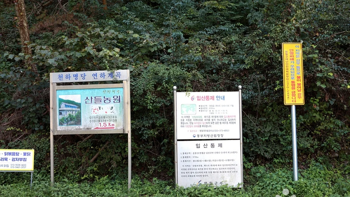 용소폭포(연하계곡)