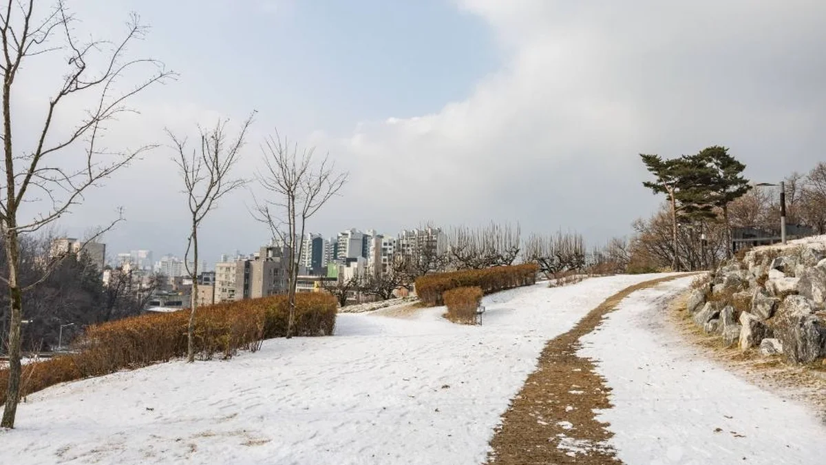 초안산