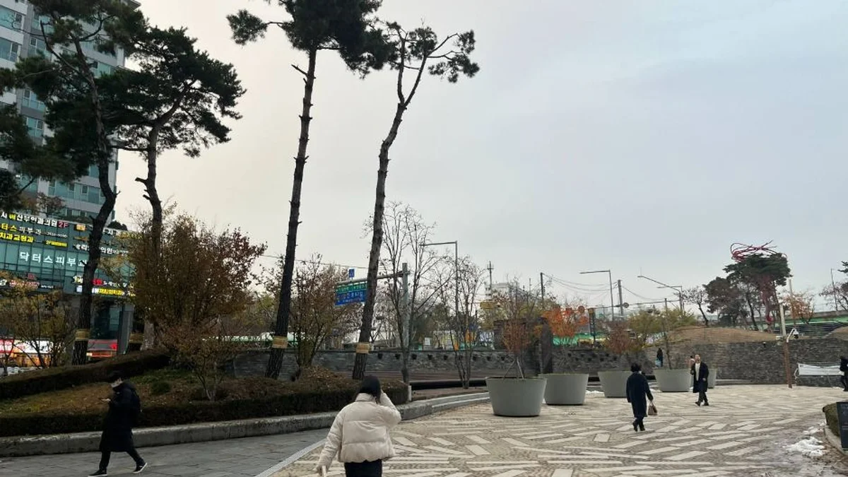 디큐브시티 해바라기 공원