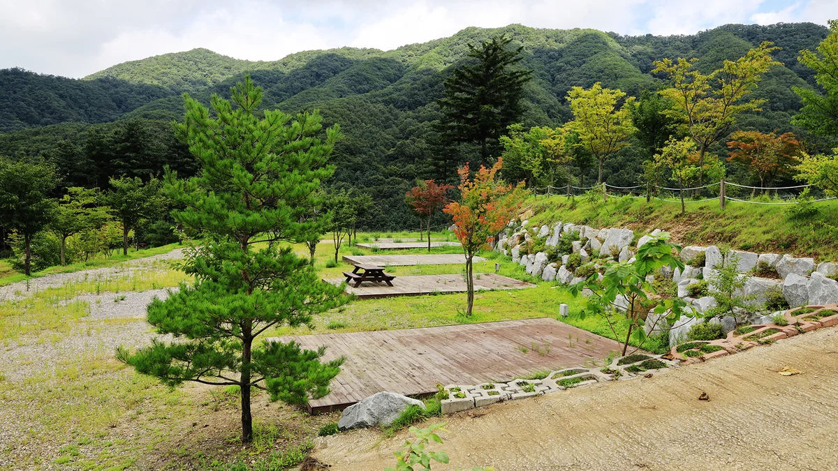 해자연캠핑장
