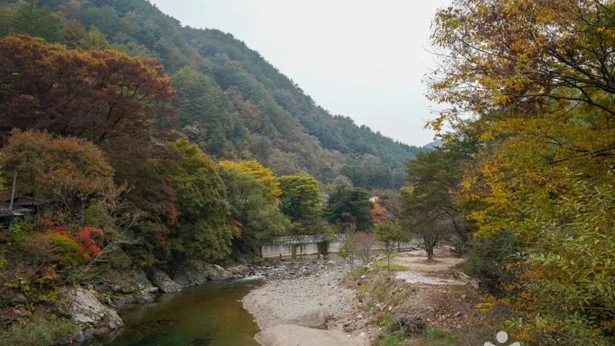 고선계곡(구마계곡)