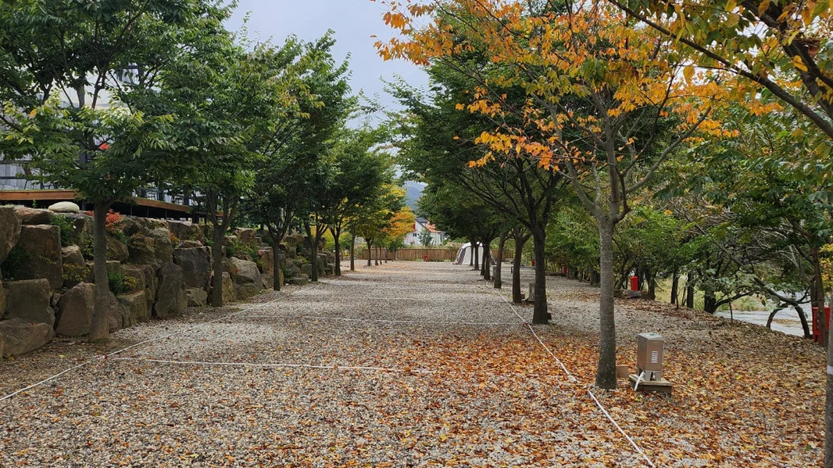 리버백담 캠핑장