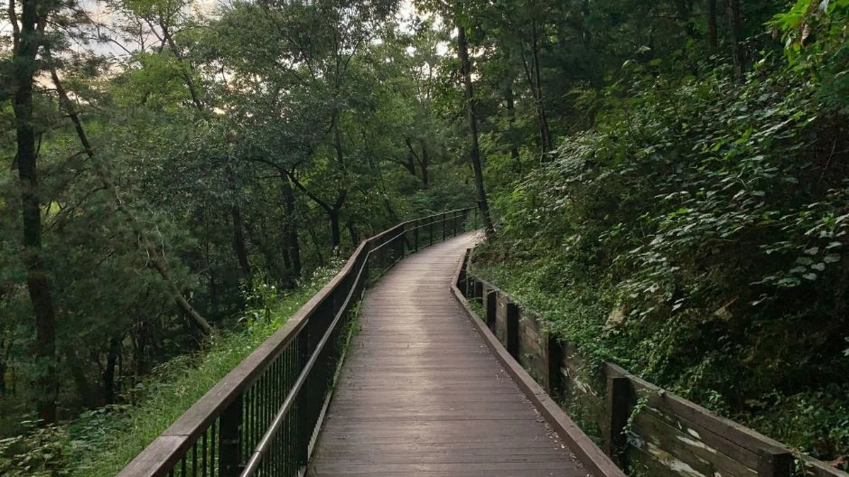 만수산 무장애나눔길