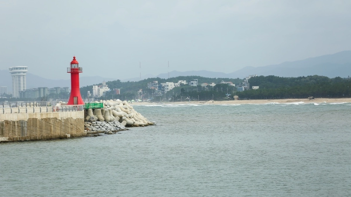 사천진항