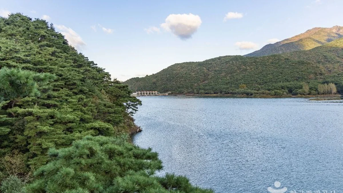 괴산호