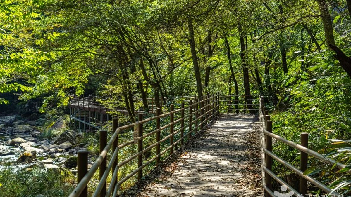 덕산계곡(덕산용소)