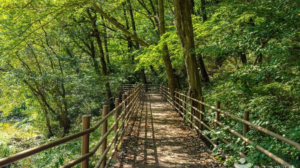 덕산계곡(덕산용소)