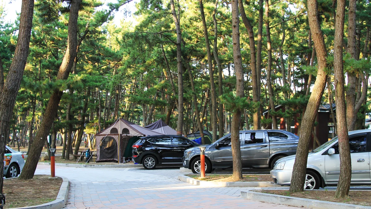 몽산포 자동차 야영장