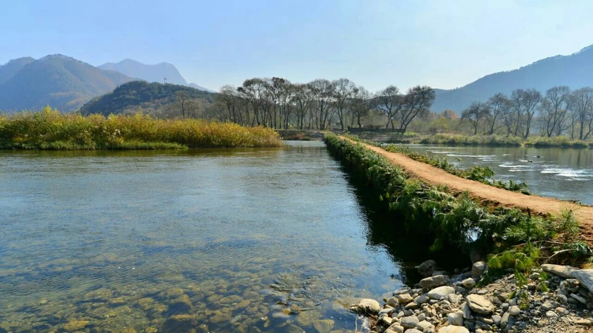 보보스캇 캠핑장