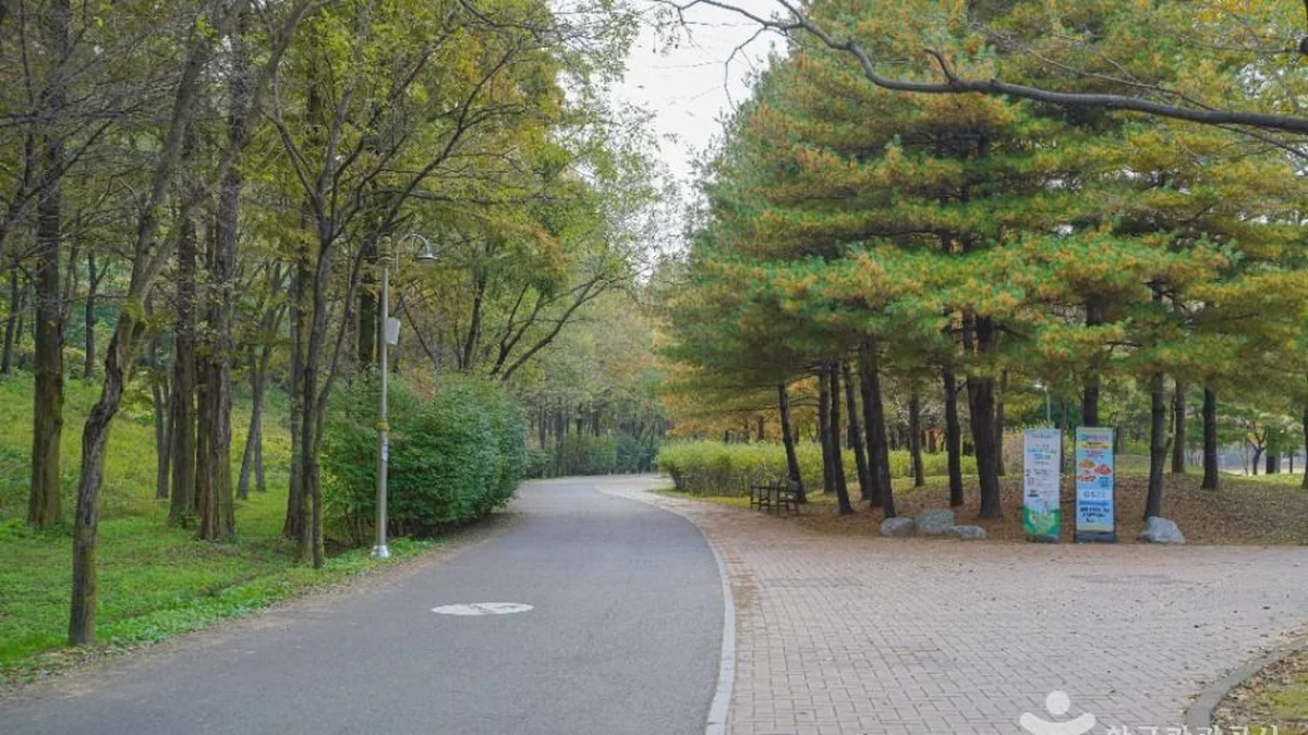 난지천공원