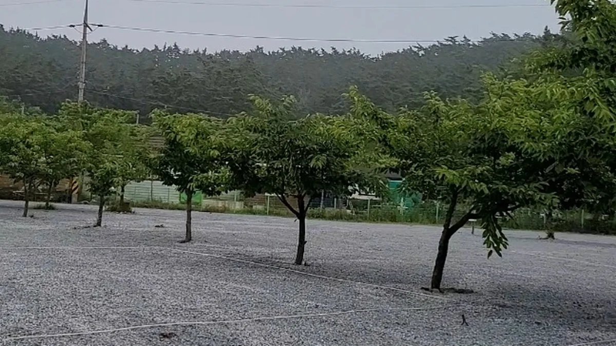 구름포해변캠핑장
