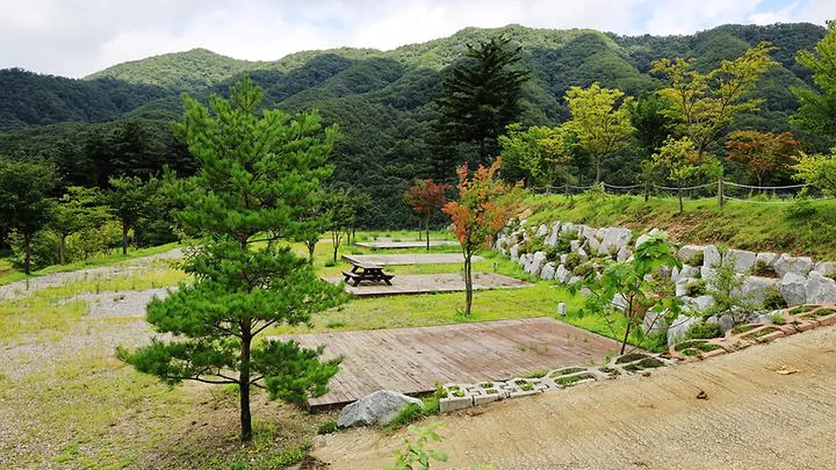 해자연캠핑장