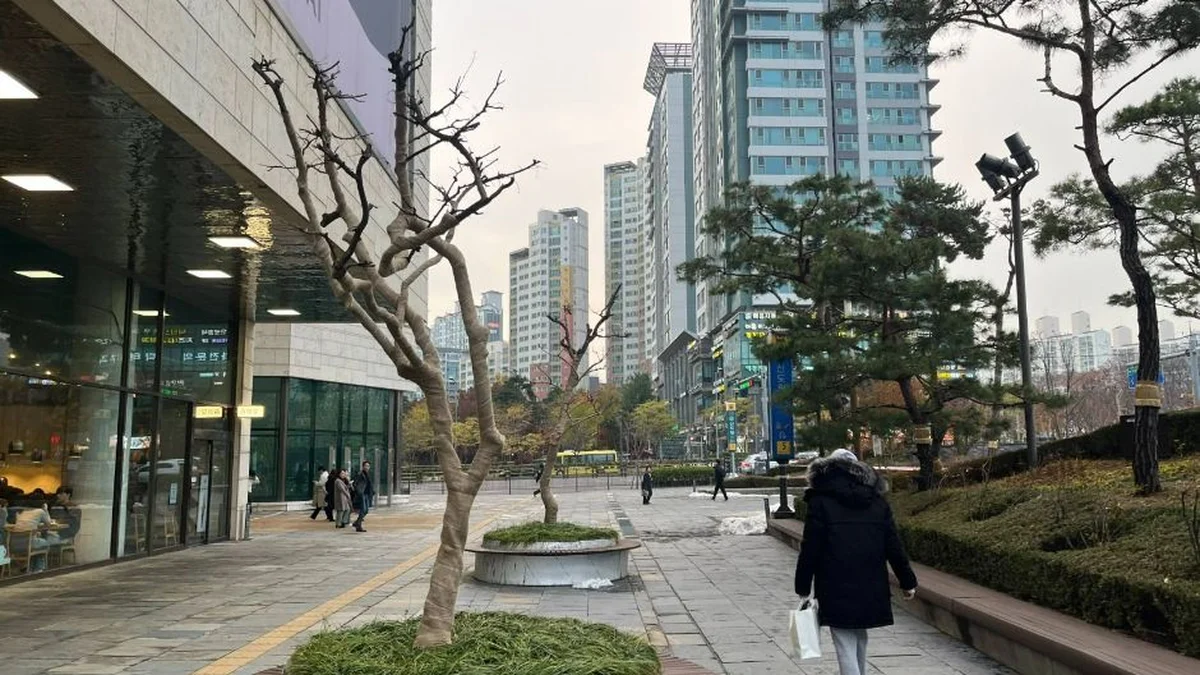 디큐브시티 해바라기 공원
