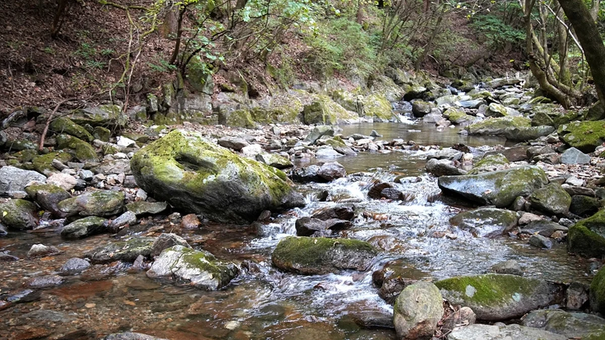 용수골계곡