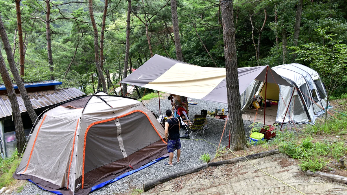 꿈꾸는 캠핑장