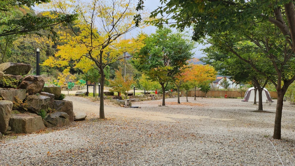 리버백담 캠핑장