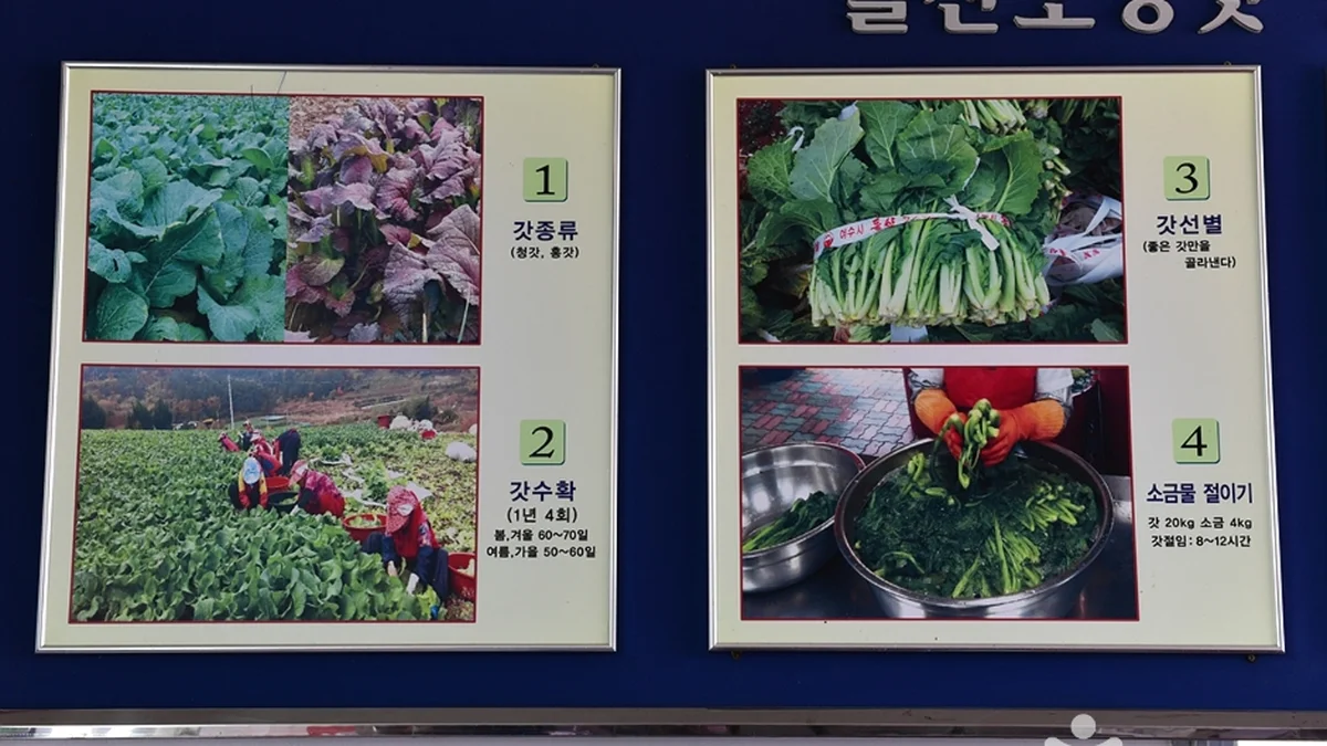 돌산갓 장터마을