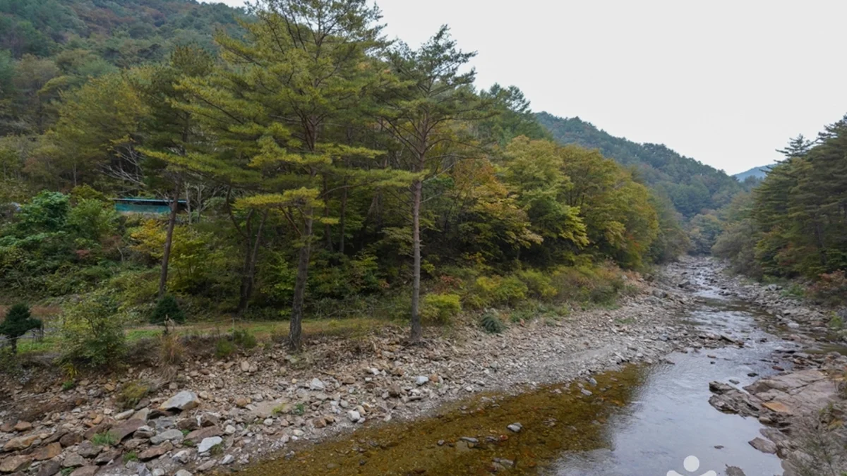 고선계곡(구마계곡)