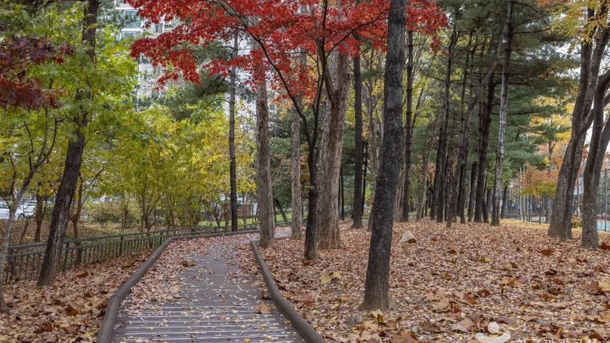 독산 근린공원