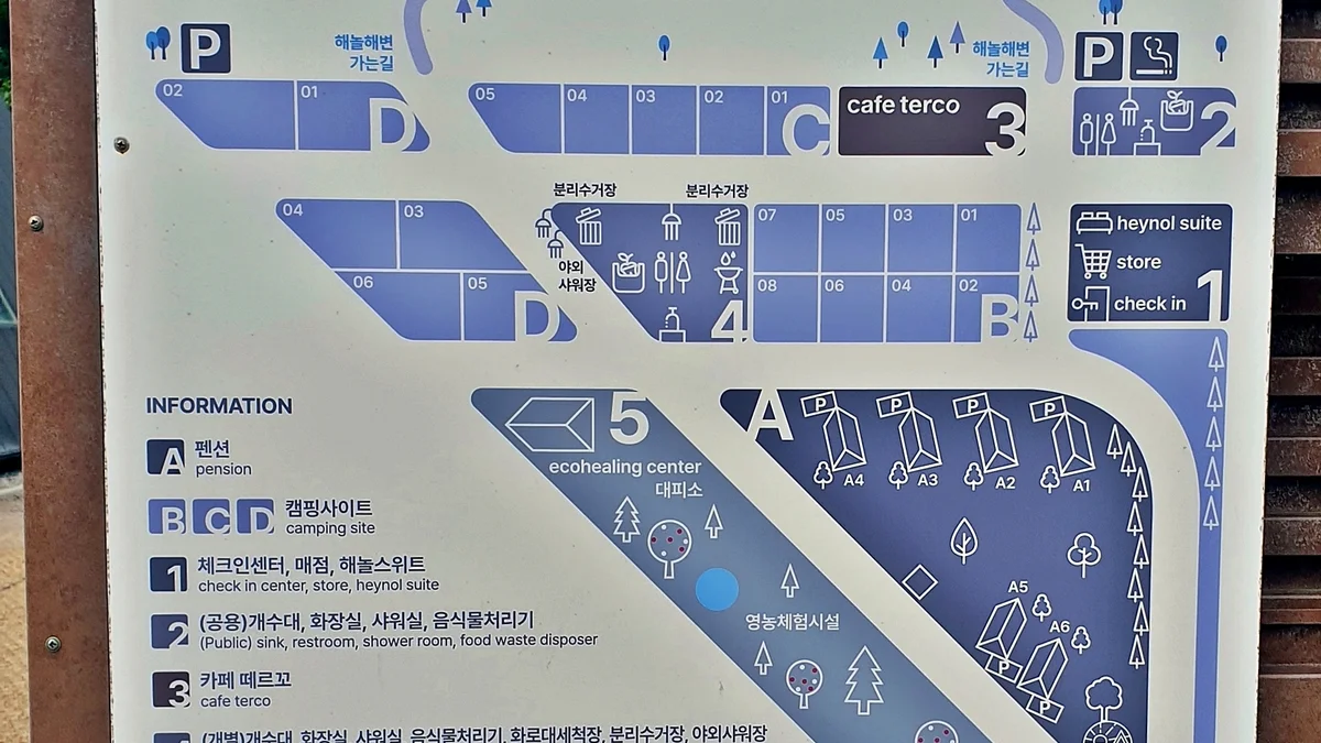 캠프히어