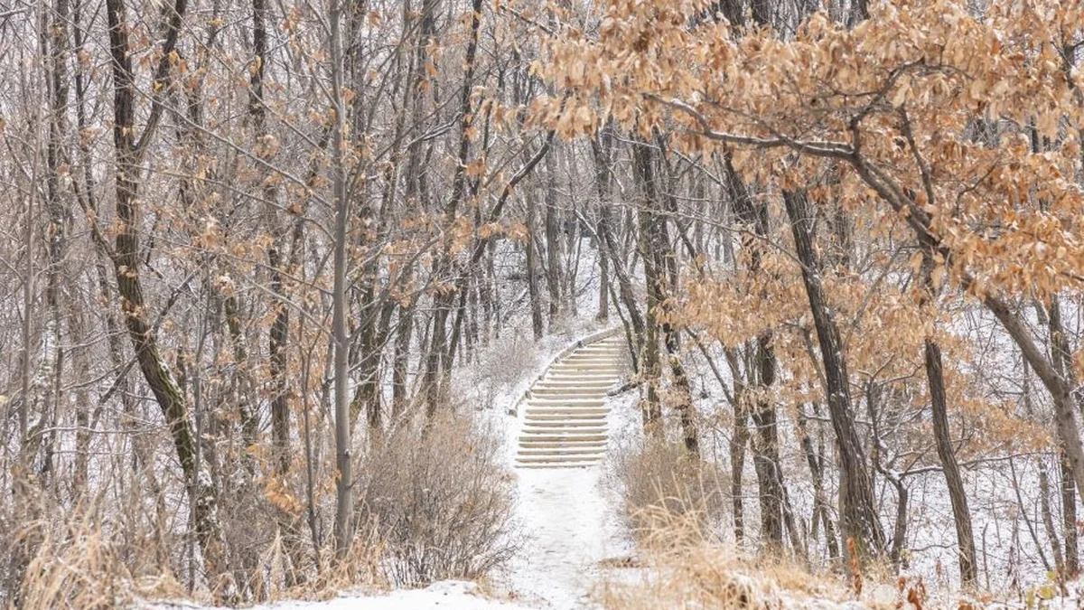 초안산