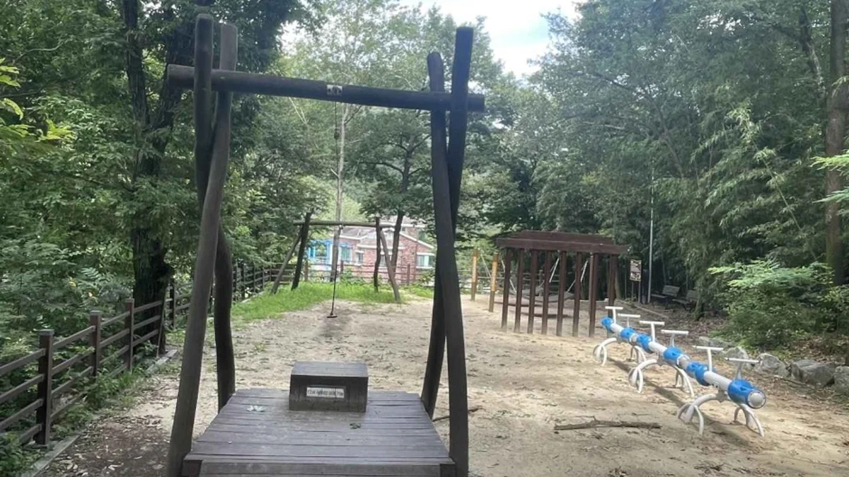 대청계곡대나무숲