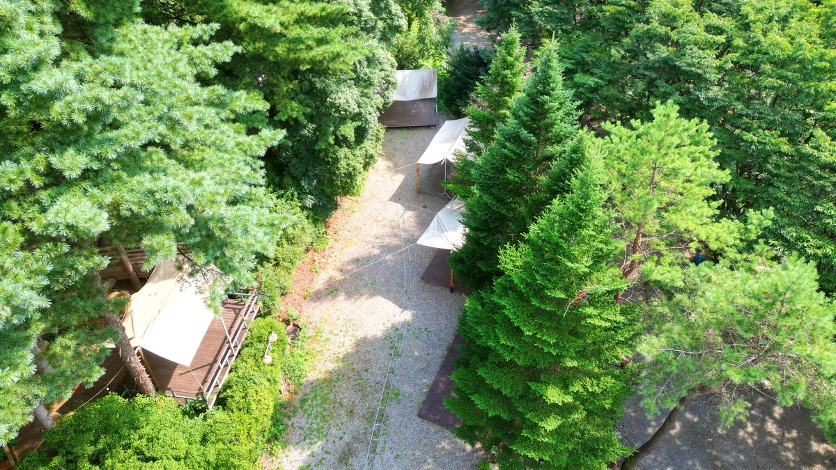 유명산 258