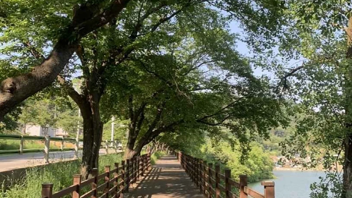 교동저수지(교동생태습지)