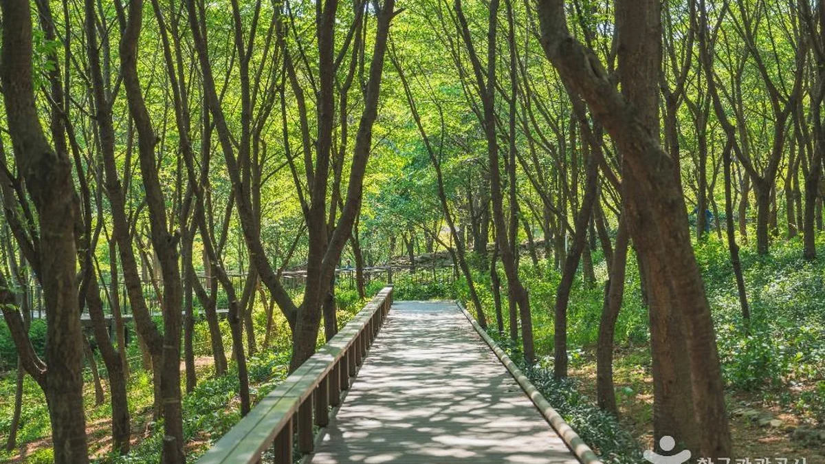 대모산숲속야생화원