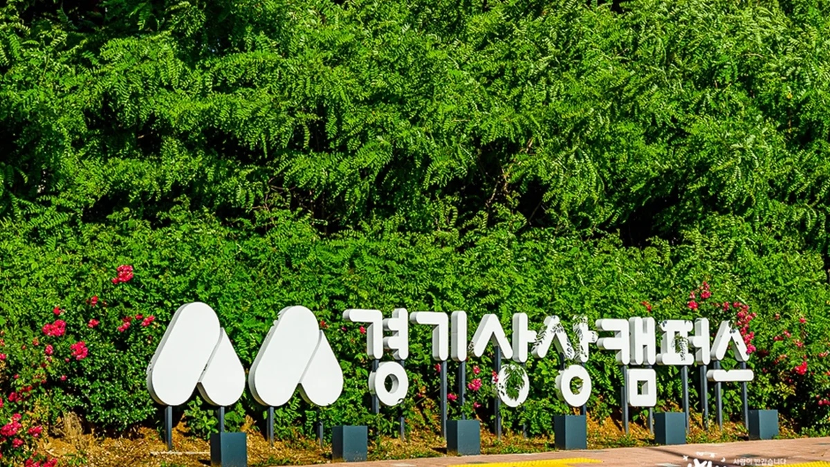 노송지대