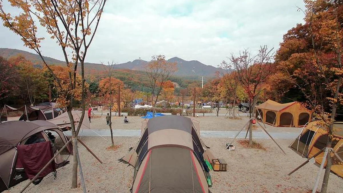 초막골생태공원 느티나무야영장
