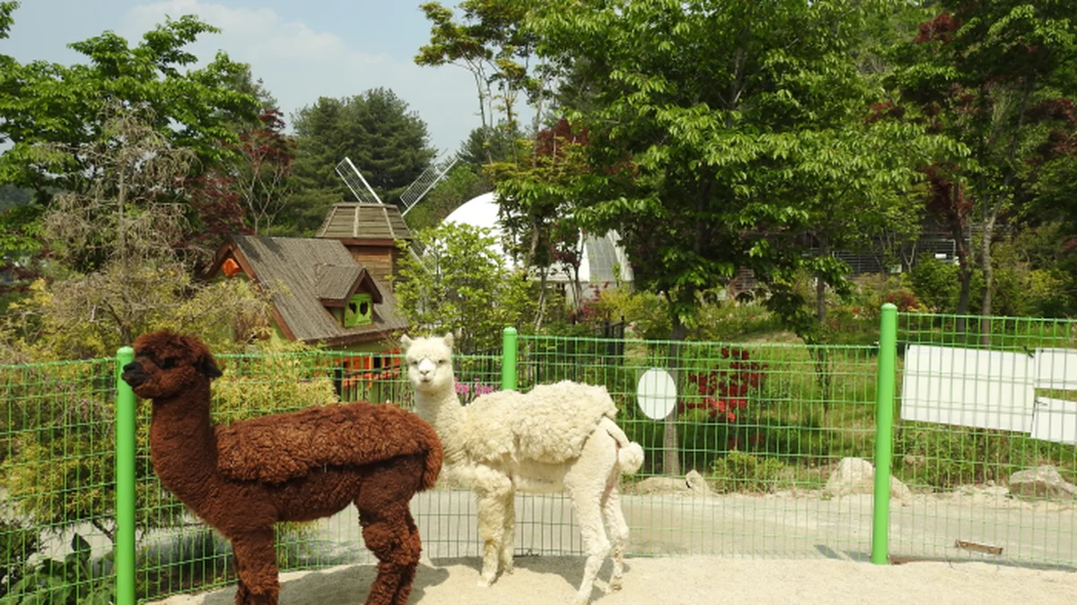 아침고요가족동물원