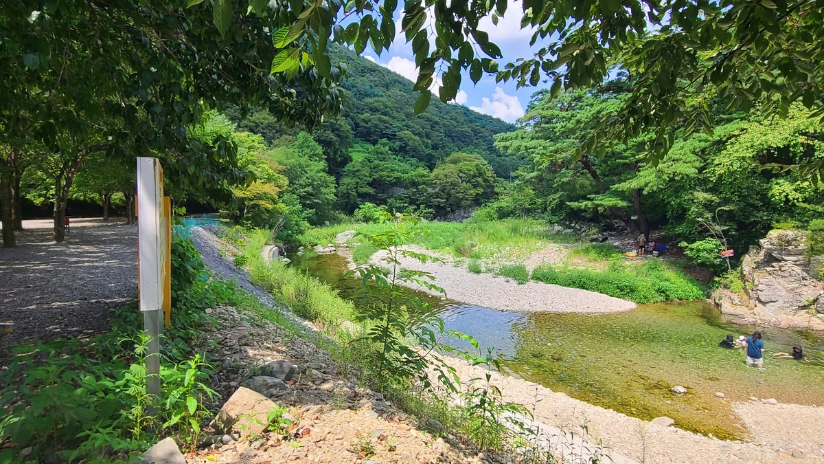 별삼킨별캠핑장