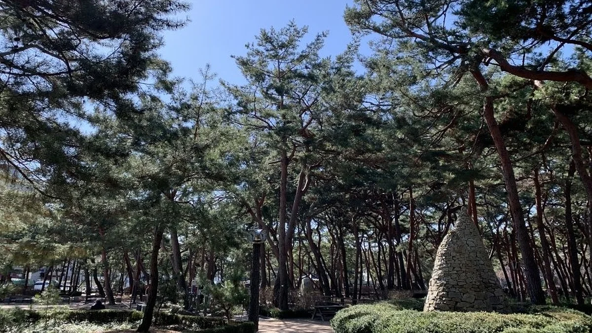 솔밭근린공원