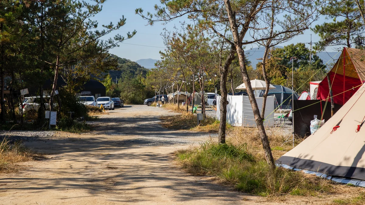 양주 리온 캠핑장