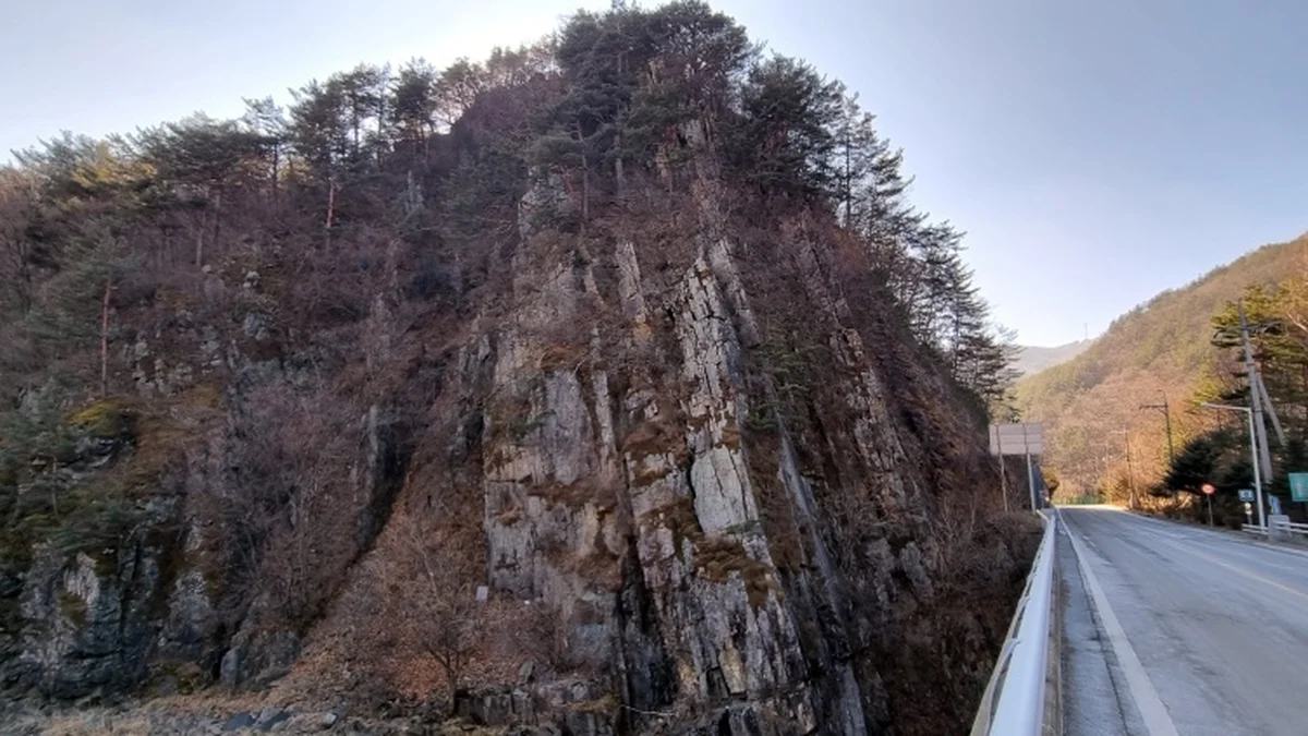 금천골 석탄층