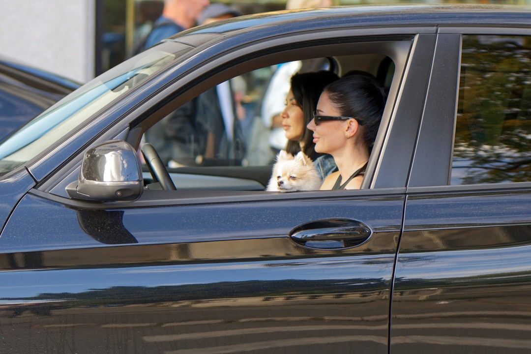 女性 車両衝突 負傷リスク 引用:Pixabay