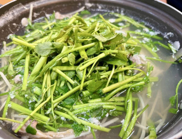 온라인 커뮤니티