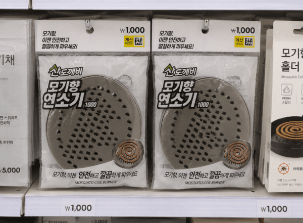 Ai생성 이미지