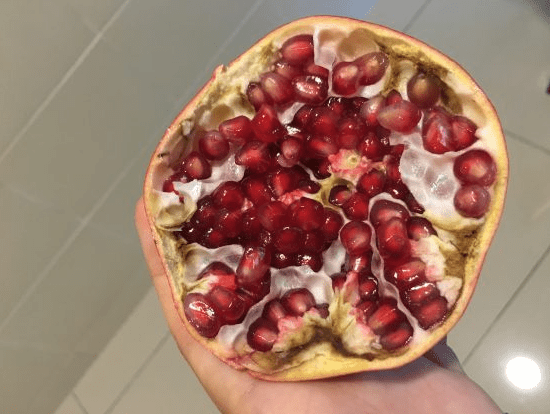 온라인 커뮤니티