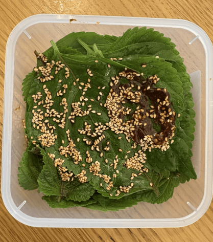 온라인 커뮤니티