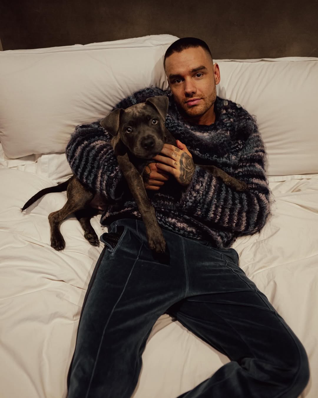 리암 페인(Liam Payne)