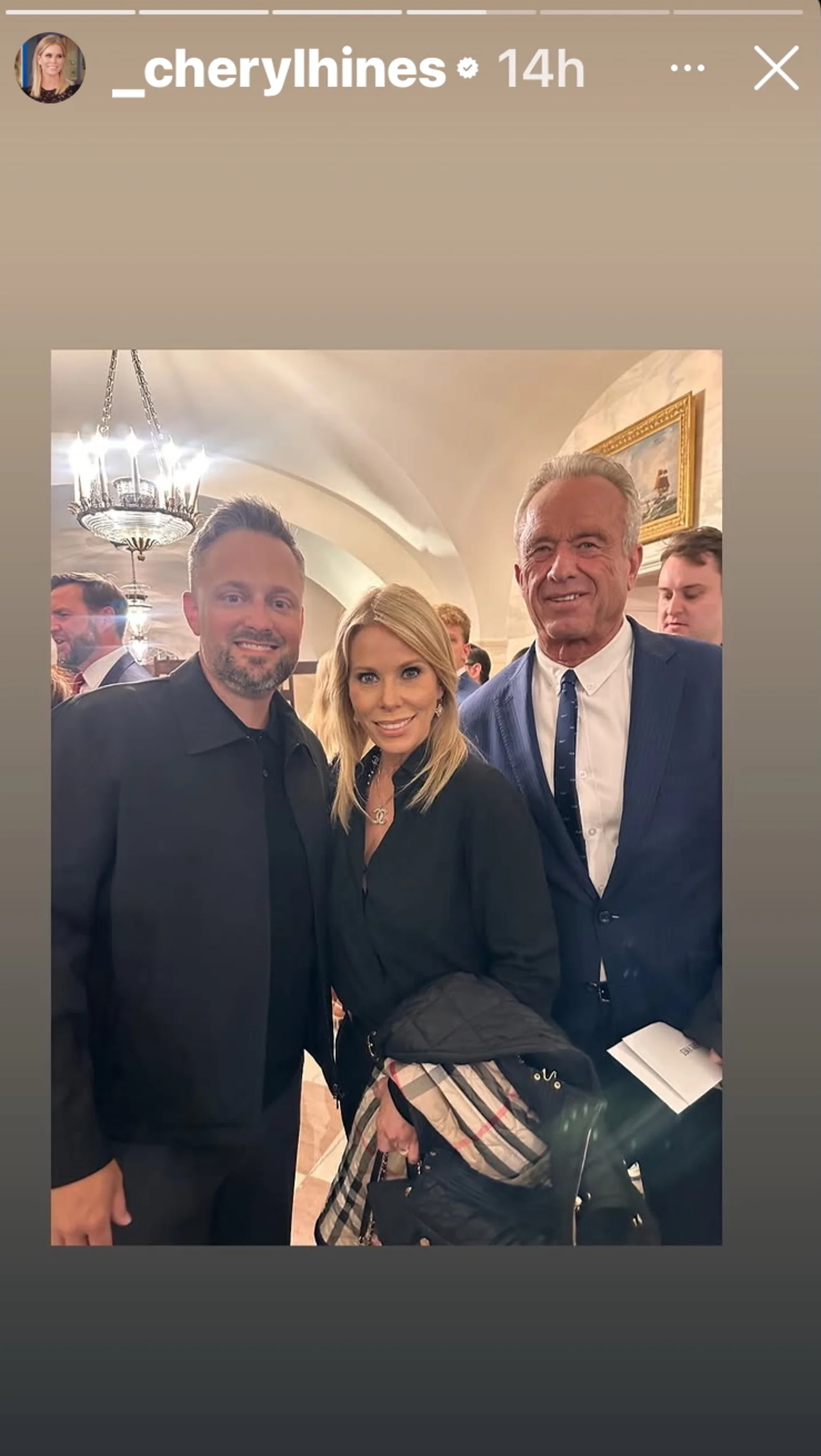 셰릴 하인즈(Cheryl Hines) 인스타그램 스토리