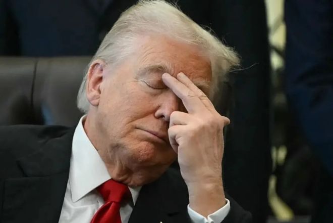 引用:Daum