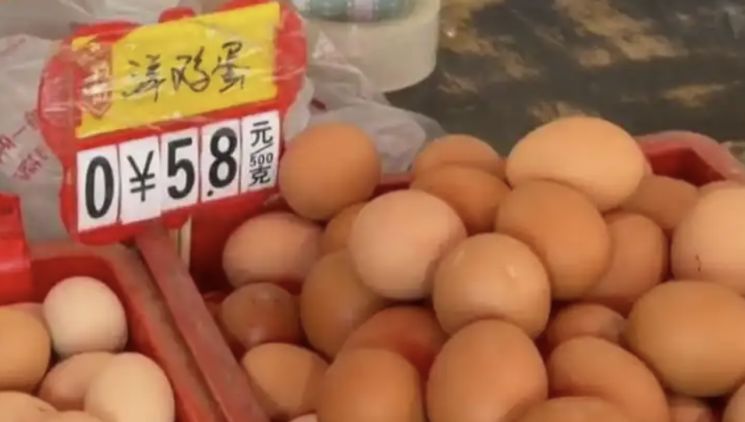 引用:百度