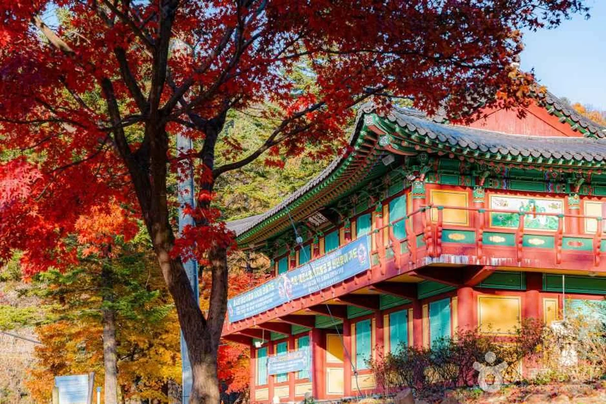 고양어울림누리 - 고양시덕양구 여행